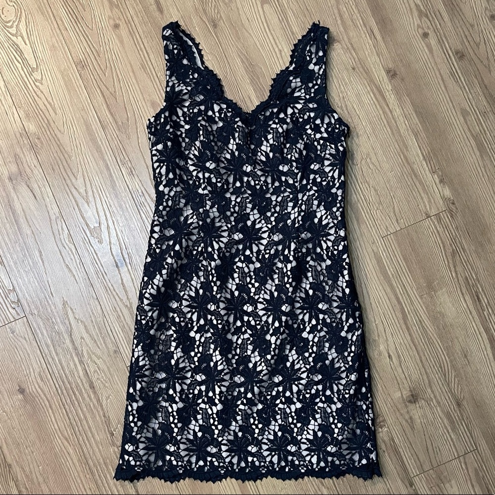 *NEW* Ann Taylor Dress (Navy/Nude)